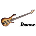 Ibanez ( アイバニーズ ) / BTB705LM-NNF夏休みセール