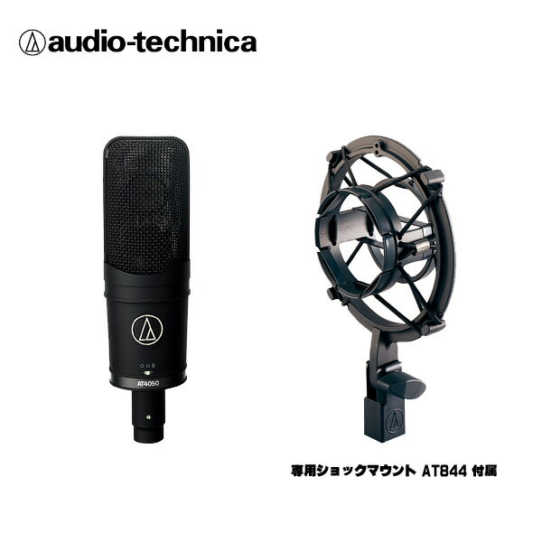 ジャイロセンサー内蔵 赤外線ワイヤレスマイク2本付きセット カラオケに最適 (受信機：audio-technica AT-CR7000)