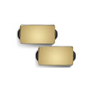 Bare Knuckle Pickups ( ベアナックルピックアップス ) / Warpig AlnicoV Set Gold Cover 50mm夏休みセー...