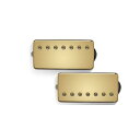 Bare Knuckle Pickups ( ベアナックルピックアップス ) / Ragnarok 7strings Set Gold/Gold Screws夏...