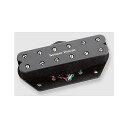 SEYMOUR DUNCAN ( セイモアダンカン ) / Pearly Gates for Tele Lead Blk夏休みセール