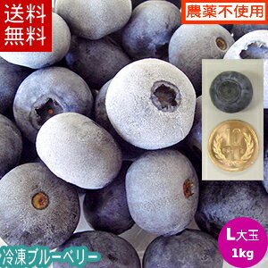 冷凍ブルーベリー（Lサイズ大玉）1kg【送料無料】国産!【農薬不使用】岩手県遠野市産　大粒の冷凍ブルーベリー【RCP】【送料込み】無農薬 大粒 アントシアニン 産地直送 完熟 お取り寄せ ギフト 安心 安全 フルーツ 農園※沖縄・離島は送料無料の適用外のサムネイル