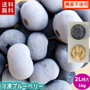 【送料無料】【農薬不使用】遠野で育った大粒の冷凍ブルーベリー1kg(2Lサイズ)【がんばろう!岩手】【岩手県産】【送料込み】P25Apr15※沖縄・離島は送料無料の適応外