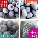 冷凍ブルーベリー(サイズ各種)1kg【送料無料】国産!【農薬不使用】岩手県遠野市産 大粒の冷凍ブルーベリー【RCP】【送料込み】無農薬 大粒 アントシアニン 産地直送 完熟 お取り寄せ ギフト 安心 安全 フルーツ 農園※沖縄・離島は送料無料の適用外