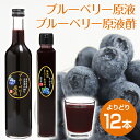 【11本よりどり送料無料+1本プレゼント! 合計12本】11本購入で無濾過ブルーベリー原液酢(200ml)またはブルーベリー原液(500ml)1本プレゼント!農...