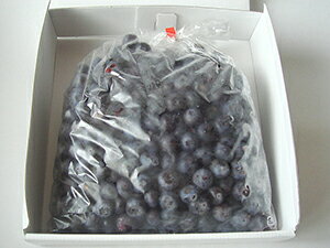 【送料無料】【農薬不使用】遠野で育った大粒の冷凍ブルーベリー1kg(2Lサイズ)【がんばろう!岩手】【岩手県産】【送料込み】P25Apr15※沖縄・離島は送料無料の適応外