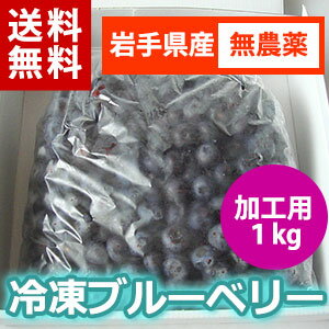 【送料無料】【29年産】国産！農薬不使用！岩手県遠野で育った冷凍ブルーベリー1kg（加工用）【送料込み】02P03Sep16※沖縄・離島は送料無料の適用外です