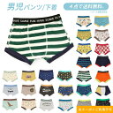 【4点でメール便 送料無料】2024春【ampersand/アンパサンド】ボクサーパンツ 男の子用下着≪100cm 110cm 120cm 130cm 140c...