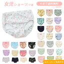 【4点でメール便 送料無料】2024春夏【ampersand/アンパサンド】 女の子用ショーツ 下着 ≪100cm 110cm 120cm 130cm 140c...