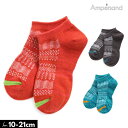 SALE<50%OFF>2019秋冬【ampersand/アンパサンド】ショート ソックス≪10-12cm 13-15cm 16-18cm 19-21cm≫キッ...