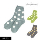 2023春【ampersand/アンパサンド】ドット ソックス≪10-12cm 13-15cm 16-18cm 19-21cm 22-24cm≫キッズ ベビー 靴下 くつした くつ下　ソックス レッグウェア 保育園 幼稚園 通園