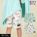 ＜40％OFF＞2023夏【BIT'Z/ビッツ】恐竜図鑑総柄 トランクス水着_UVカット≪80cm 90cm 100cm 110cm 120cm 130cm 140cm≫子供服 キッズ 男の子 男児 子ども スイム 水着≪店頭受取対応商品≫ ampersand