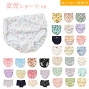期間限定199円セール!2024春夏【ampersand/アンパサンド】 女の子用ショーツ 下着 ≪100cm 110cm 120cm 130cm 140cm≫...