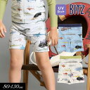 SALE<40%OFF>2024夏【BIT'Z/ビッツ】サメ図鑑 総柄 ボクサー水着_UVカット≪80cm 90cm 100cm 110cm 120cm 130...