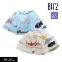 2024夏【BIT'Z/ビッツ】サメ図鑑 総柄 スイムキャップ_UVカット≪46-50cm 52-56cm≫子供服 キッズ 男の子 男児 子ども スイム 水着≪店頭受取対応商品≫