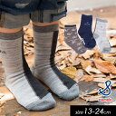 3点以上で10%OFF!定番【stample/スタンプル】シュール 3Pクルーソックス≪S/13-15cm M/16-18cm L/19-21cm LL/22-...