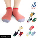 3点以上で10%OFF!定番【stample/スタンプル】ダブル タブ ローカット ソックス 3足組≪M/16-18cm L/19-21cm LL/22-25c...