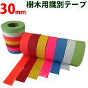 識別テープ 30mm 非粘着テープ 樹木テープ 樹木 森林 測量 登山 マーキング 農林水産 日本製 竹谷商事 【識別テープ】
