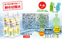 【熱中症対策】熱中対策水 500ml×48本入り <N11-01> 【熱中飴 予防 塩 タブレット ヘルメット 飴 梅 塩飴 キャンディー グッズ アイスバッグ...