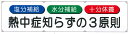 【熱中症対策】横断幕(3原則)<N12-55>【予防 塩 タブレット ヘルメット 飴 梅 塩飴 キャンディー グッズ アイスバッグ スポーツ飲料 ドリンク キッズ 通販 】(4)