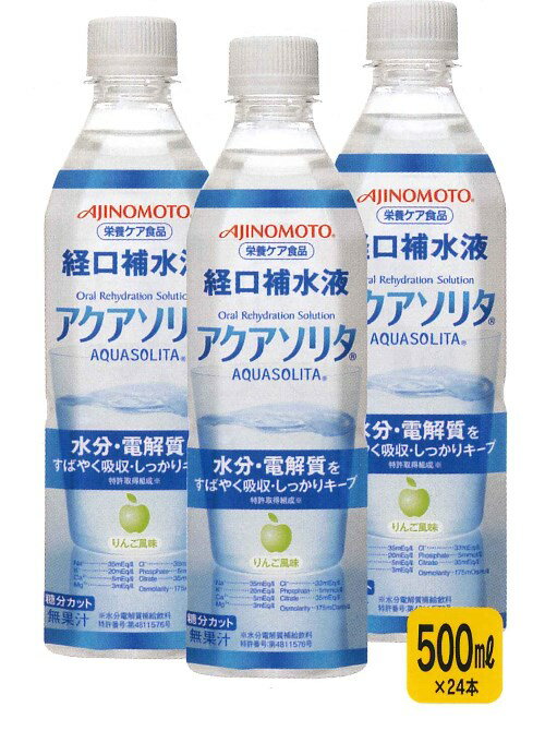 【熱中症対策】アクアソリタ 500ml×48本入り ＜N15-06＞ 【熱中飴 熱中対策水 予防 塩 タブレット ヘルメット 飴 梅 塩飴 キャンディー グッズ アイスバッグ スポーツ飲料 通販 ドリンク 】