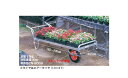 ハラックス コン助 花用1輪車(エアータイヤ)13×3T CN-200S【法人様限定、個人宅別途送料 畑仕事 園芸 野菜 果物 運搬 タイヤ ホイール 一体 チューブ タチホセット 交換 スペア】