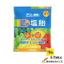 【熱中症対策】 匠の塩飴 MLSアソート <N20-13> マスカット レモン スイカ ミックス 750g ※軽減税率
