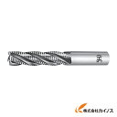 OSG ハイスエンドミル ラフィングロング 25 80865 EX-REEL-25 EXREEL25 【最安値挑戦 通販 おすすめ 人気 価格 安い おしゃれ ...