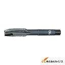 OSG タップ 16736 EX-H-POT-STD-M10X1.25 EXHPOTSTDM10X1.25 【最安値挑戦 通販 おすすめ 人気 価格 安い おし...