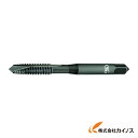 OSG タップ 17718 EX-SS-POT-STD-M2.5X0.45 EXSSPOTSTDM2.5X0.45 【最安値挑戦 通販 おすすめ 人気 価格 安...