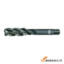 OSG タップ 18639 EX-H-SFT-STD1-M12X1.75 EXHSFTSTD1M12X1.75 【最安値挑戦 通販 おすすめ 人気 価格 安い ...
