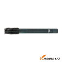 OSG 転造タップ スチール用 M2.3X0.4 RH4 B 21157 NRT-STD-B-M2.3X0.4 NRTSTDBM2.3X0.4 【最安値挑戦 通...