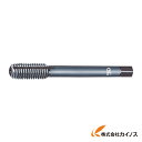 OSG 転造タップ 非鉄合金用 M2X0.4 RH6 B 21437 B-NRT-STD2-B-M2X0.4 BNRTSTD2BM2X0.4 【最安値挑戦 通販...
