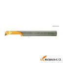 NOGA タイニーツール・プロファイル&ボーリング MPR6R0.2L22 【最安値挑戦 通販 おすすめ 人気 価格 安い おしゃれ 】