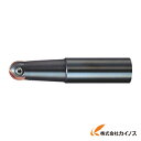 日立ツール アルファ ボールプレシジョンF ABPF25S32 ABPF25S32 【最安値挑戦 通販 おすすめ 人気 価格 安い おしゃれ】(4)