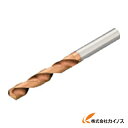 サンドビック コロドリルデルタ−C 超硬ソリッドドリル 1220 R840-0510-50-A0A R840051050A0A 【最安値挑戦 通販 おすすめ 人...