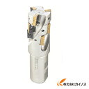 イスカル シュレッドミルP290 ヘリカルエンドミルホルダ P290ACK P290ACKD40371W4018 【最安値挑戦 通販 おすすめ 人気 価格 安い...