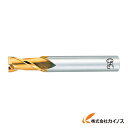 OSG ハイスエンドミル 88041 EX-TIN-EDS-31 EXTINEDS31 【最安値挑戦 通販 おすすめ 人気 価格 安い おしゃれ】