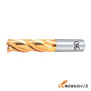 OSG ハイスエンドミル 88500 EX-TIN-RENF-50 EXTINRENF50 【最安値挑戦 通販 おすすめ 人気 価格 安い おしゃれ】