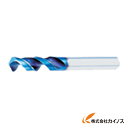 OSG ネクサスドリル スタブ形 8650850 NEXUS-GDS-8.5 NEXUSGDS8.5 【最安値挑戦 通販 おすすめ 人気 価格 安い おしゃれ ...