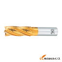 OSG ハイスエンドミル 88666 TFGN-16 TFGN16 【最安値挑戦 通販 おすすめ 人気 価格 安い おしゃれ 】