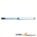 OSG 超硬エンドミルWXスーパーコート(高精度ブルノーズ) 3101014 WXS-CPR-1XR0.2X0X10 WXSCPR1XR0.2X0X10 【最安...