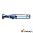 OSG ハイスエンドミル 8451690 V-XPM-EDL-19 VXPMEDL19 【最安値挑戦 通販 おすすめ 人気 価格 安い おしゃれ 】(4)