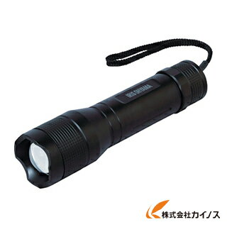 IRIS LEDϥǥ饤 1300lm ൡǽդ LWK-1300Z LWK1300Z ںǰĩ   ͵  ¤  