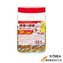 【熱中症対策】現場の相棒 塩ビタミンゼリー 1kgボトル(約100本入) コーラ味 共親製菓 ※軽減税率【塩 塩ゼリー ナトリウム ビタミン 暑さ 手軽】