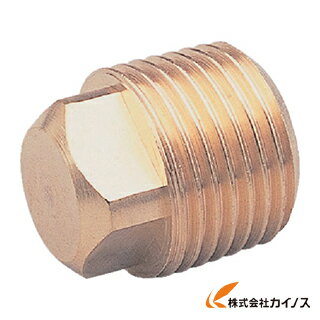 ASOH 四角プラグ PT1／4 NP-1002