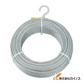 TRUSCO メッキ付ワイヤーロープ Φ6mmX30m CWM-6S30