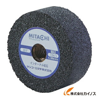 ミタチ インターナル砥石 Φ48×19 ネジ付き 734819AMP (20個)