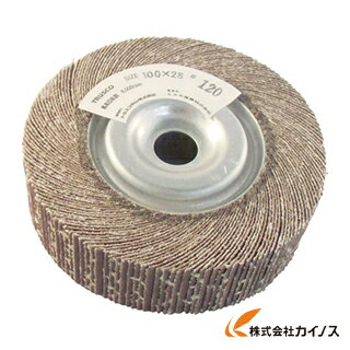TRUSCO研磨輪 外径100 幅25 40＃ 2個入 TFW100-25-40