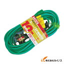 ハタヤ 2P接地付延長コード 10m アースグリーン SX-103K-G 【HATAYA SX103KG SX-103K-G 延長ケーブル 工事 現場 建築 工場 通販 おすすめ 人気 価格 安い 】